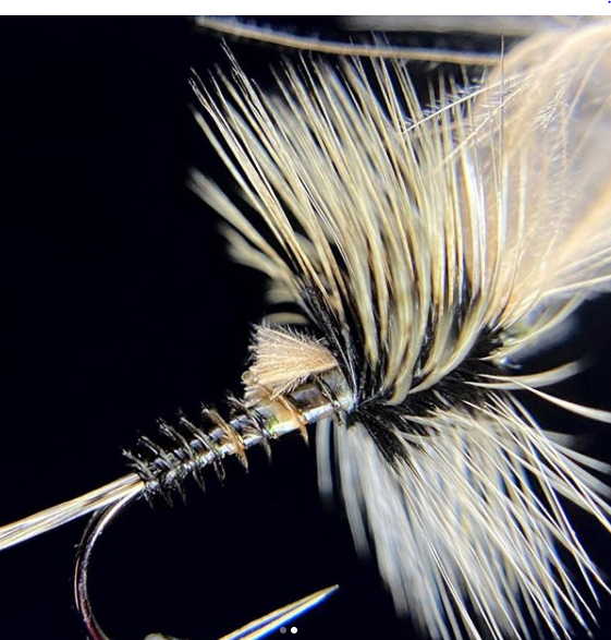 Fly Envy CDC Emerger Emergers can make the day tied by @flyenvy When I found out the theme for this week's #whipfinishwednesday was CDC